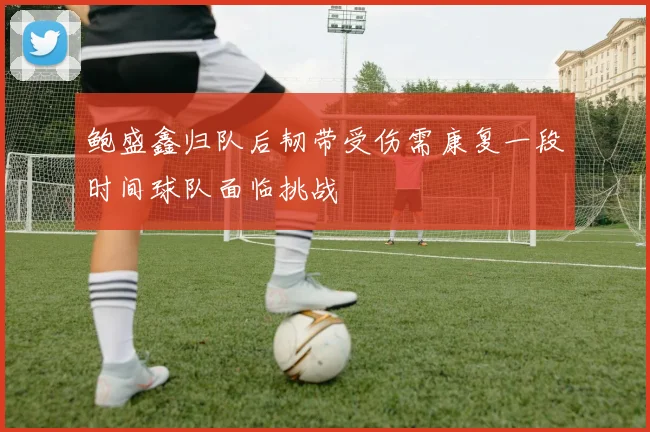 鲍盛鑫归队后韧带受伤需康复一段时间球队面临挑战