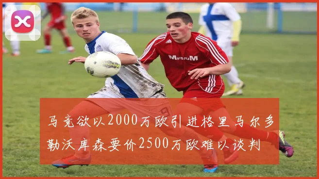 马竞欲以2000万欧引进格里马尔多勒沃库森要价2500万欧难以谈判