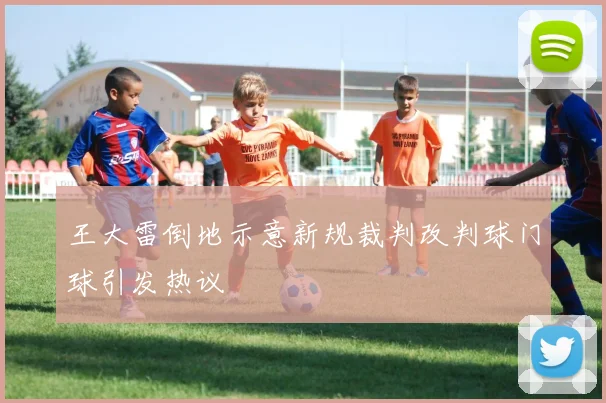 王大雷倒地示意新规裁判改判球门球引发热议